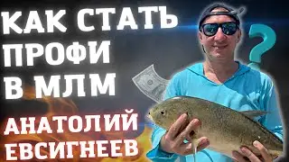 Как стать профессионалом в МЛМ | Анатолий Евсигнеев Золотой Час