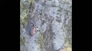 Дагестанский тур .Цунта .