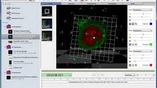 3D Visualization and Movie Making in Volocity 3D Image Analysis Software