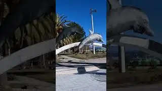 Пицунда зимой шортс Shorts 5