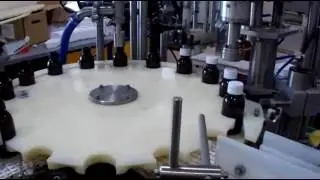 Линия розлива карусельная