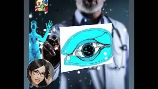 Vision Computacional en Medicina - Vision Transformers in Medical Computer Vision -