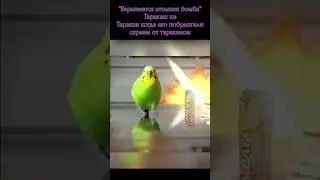 ЬАЬ 