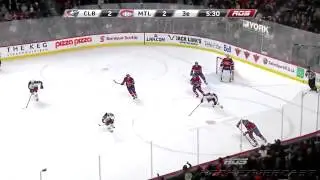 The girl got under power reception during NHL match