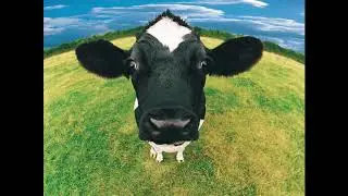 Dr.Peacock - Sjeng Oan de Geng ( long version )