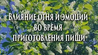 🔥Как огонь и эмоции влияют на пищу