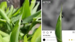 3D Instagram Post Frame Photo Effect Tutorial | Snapseed Tutorial | itsmyart_bitch |