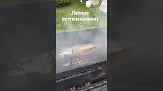 Коптим рыбу.Подписывайтесь на мой канал.