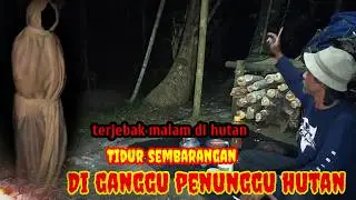 HOROR❗Terjebak malam diperjalanan tidur sembarangan di ganggu makhluk penunggu hutan