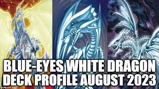 BLUE-EYES WHITE DRAGON DECK PROFILE (AUGUST 2023) YUGIOH!