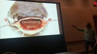 Orti: Fish radiations in and out of South American freshwaters