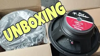 UNBOXING SPEAKER Black Spider 12 inch