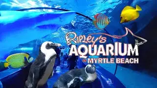 RIPLEY'S AQUARIUM MYRTLE BEACH, SOUTH CAROLINA