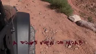 A dogs view of Moab.