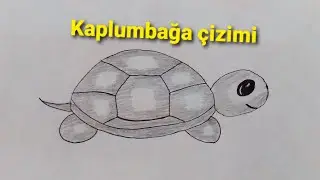KAPLUMBAĞA ÇIZIMI - TURTLE DRAWING 🐢