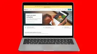 Can You Share Your Udemy Courses?