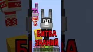 КТО ЛУЧШЕ ЗНАЕТ МАЙНКРАФТ? 