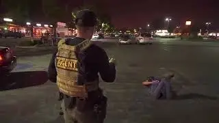 Funny Police Encounters