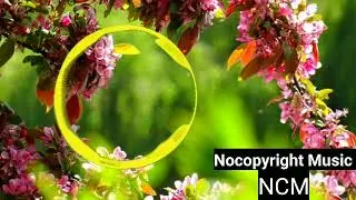 X6zt - Chasing Dreams (feat. Anthony Meyer) (NoCopyright Music NCM) Best 10