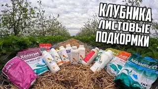 КЛУБНИКА листовые подкормки