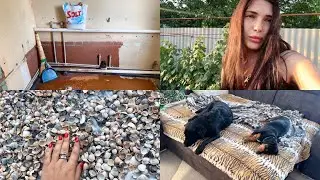 VLOG:🔥ГОСТИНЦЫ🔥ПРИЕХАЛИ ЗА СОБАКОЙ К РОДИТЕЛЯМ🔥