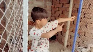 New Sating  My Peigen And Hen Cage || My Vlog