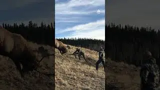 Nature's heroes in action. 