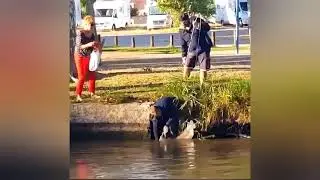 НЕВЕРОЯТНЫЙ СЛУЧАЙ НА РЫБАЛКЕ! ПОЙМАЛ СОМА ЗА ХВОСТ!
