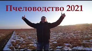 Beekeeping 2021