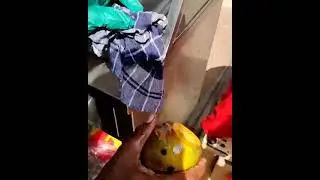 mango burger, kids food, mango recipes, mango, white chcoo, white chocolate, chocolate, choco pie,