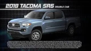 i 10 TOYOTA THRILLRIDE  January 2019