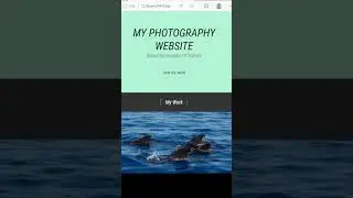Photography pages using html and css || #htmlcssproject #shortvideo #shorts #htmlcssjavascript