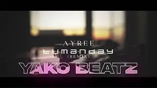 Ayree - tumandaý (Yako Beatz Remix)