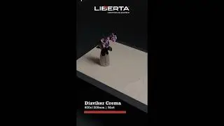 Liberta Vitrified 01