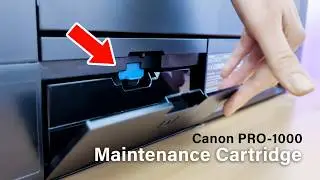 Canon PRO-1000 Maintenance Cartridge (MC-20) Replacement: Step-by-Step (Blue Button Explained)