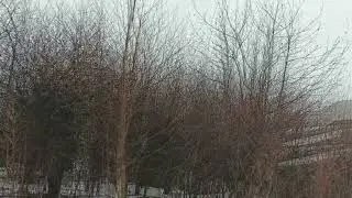 Snow in a quiet town. Сніг у тихому містечку.