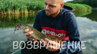 Солнце, штиль, твичинг, щука