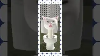 скибиди кот