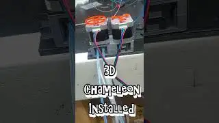 3D Chameleon - Prusa Mini - Cute Froggo by WF3D  - Printables - 2024