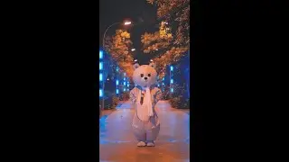 #mrbear
