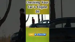 How to Check Engine Oil in 60 Seconds! #Shorts #CarKnowledge #EngineCheck #DIYMechanic