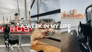 NYC Vlog | Chinatown for Lunar New Year, TCM shop, Dim Sum, Brunch at Seaport.