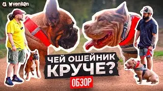 Проверяли 1,5 месяца: РЕЗУЛЬТАТ УДИВИЛ / Какой ошейник лучше / ОБЗОР НОВИНОК / Бульдог и булли