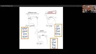 English Consonants_ Approximants — /l/, /ɹ/, /j/, /w/
