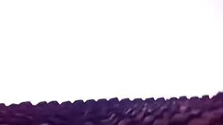 Ngentot di atas genteng