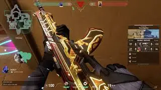 Glitch Pop Vandal Bug