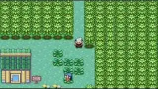 [HACK] Pokémon Esmeralda ~ Misterio ruta 117: puticlub..!?