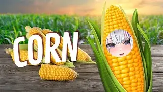 【Corn】Corn