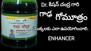 245. Dr. కిషన్ చంద్ర గారి గాఢ గోమూత్రం  - Dr.Kishan Chandra - How to use gadha gomutra in Telugu.