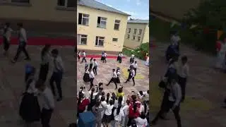27 мая 2024 г.